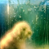 Photo de Magali Bouchard