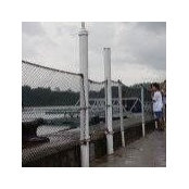 Kal Lee's photo