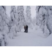 Jose Tremblay's photo