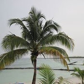 Debby Bjerke's photo