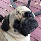 Sue Corkery's photo