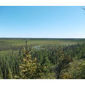 Chantal Barrette's photo