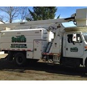 Scott's Tree Care's photo