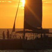 Joel Lawton's photo
