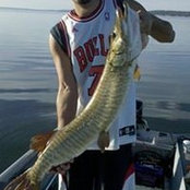 Mark Errico's photo