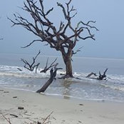 Mary Neuman's photo