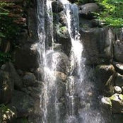 Claudine Janik's photo