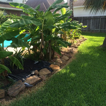 Griffin Before Landscape Border