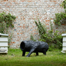 Biodesign: Insects, Fungus & Bacteria Could Be the Future of Design