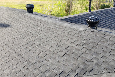 Ceilings and Roofs