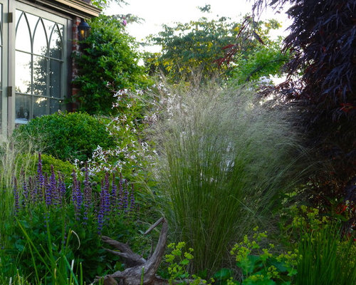 cottage garden