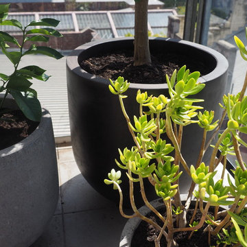 Hot city balcony