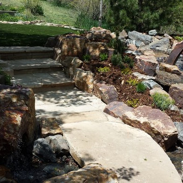 A Foxy Colorado Stream