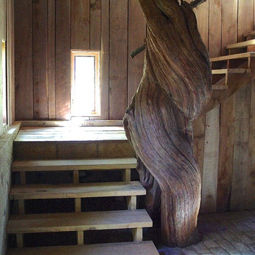 Ancient Tree Underground - Various Projects