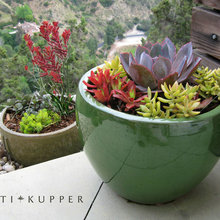 Potted
