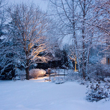 Winter Wonderland Lighting