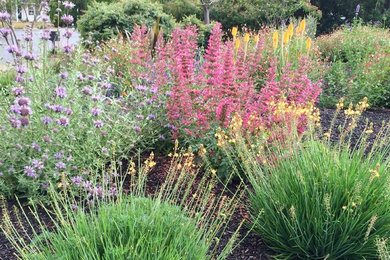 Photo of a mid-sized traditional landscaping in Other.