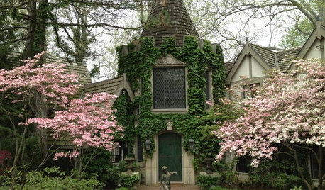 Romantische Kletterei: Fassadenbegrünung, die begeistert