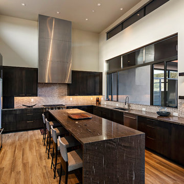 Terry Kilbane / Desert Modern / Saguaro Forest / Desert Mountain