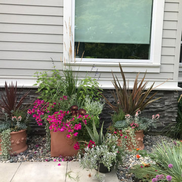 Mediterranean Garden in Tsawwassen