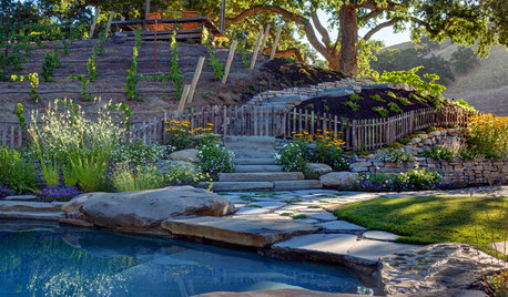 Before and After: 3 Creative Solutions to a Sloped Yard