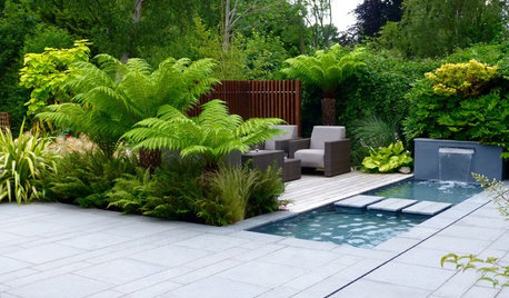 7 Ways to Create a Tropical Garden