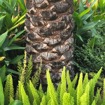 Naturally Modern (Landscape)