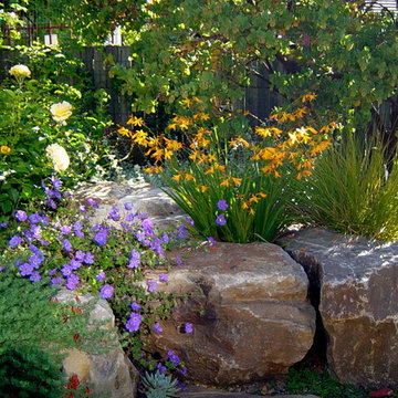 Castro Valley Outdoor Living