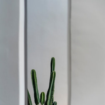 Mesa Modern