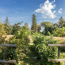 Trellising