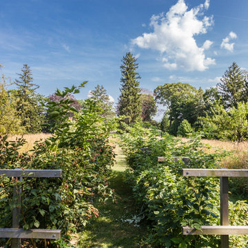 A Sustainable Homestead