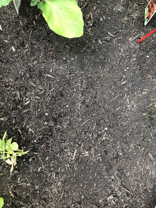 Raised bed soil dries out