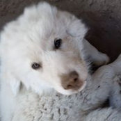 Sue Landstrom's photo