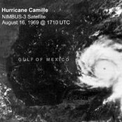 Camille McNally's photo