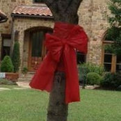 Natalie Goodwin's photo