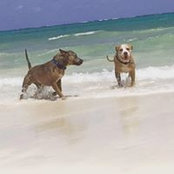 Brian Dragovich's photo