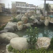 Foto de 林岱宏

