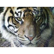 Dave Kinney's photo