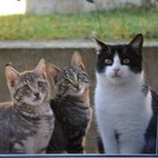 Regine Rusteberg's photo