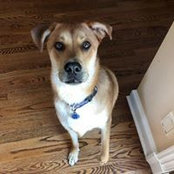 Melissa Michalik's photo