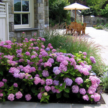 Tenafly Elegant Landscape