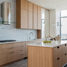 Contemporary Kitchen