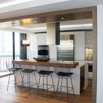 Modern Miami Kitchen Renovation