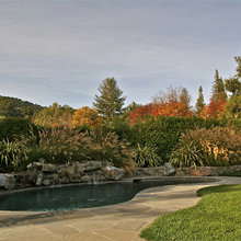 Landscape Ideas