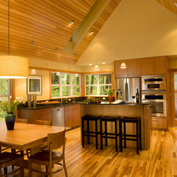 Island Center House