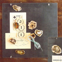 Roost Petrified Wood Magnets - Set/6 **Next Day Shipping - SKU: ST105 - Small Kitchen Appliances