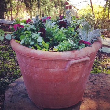 Spring Container Garden Design