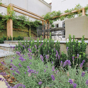 Large City Garden
