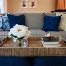 Living Room Ideas