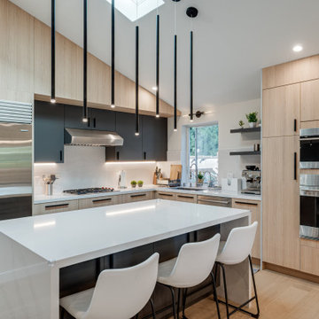 Modern House